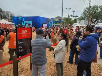 La Bienal 2026 entra en su recta final: esculturas que ya asoman y un cierre que promete emociones