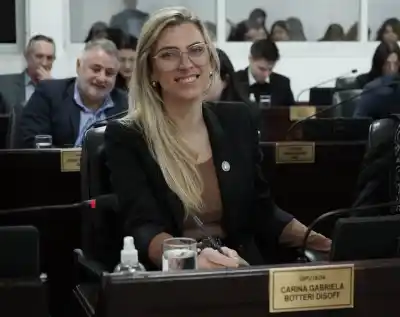 El plan de Botteri para que los chaqueños opinen sobre las leyes: ¿cómo funcionará?