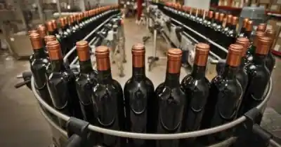 Adiós a las reglas del vino: lo que nadie te contó de la desregulación