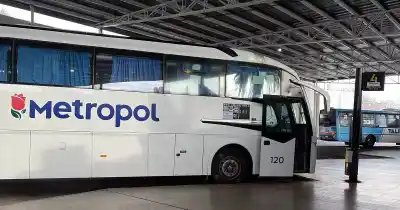 Adiós a varios ramales: los cambios que llegan a la línea 195 de colectivos