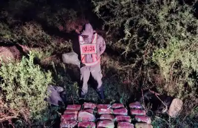 Golpe al narcotráfico: secuestran 26 kilos de marihuana en el límite con Salta