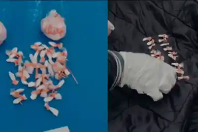 Lo tiró durante la fuga y cuando lo revisaron quedaron helados: 160 dosis de cocaína