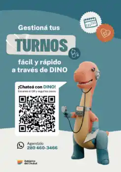 Sacar turno médico en Chubut: el paso a paso para usar DINO sin vueltas