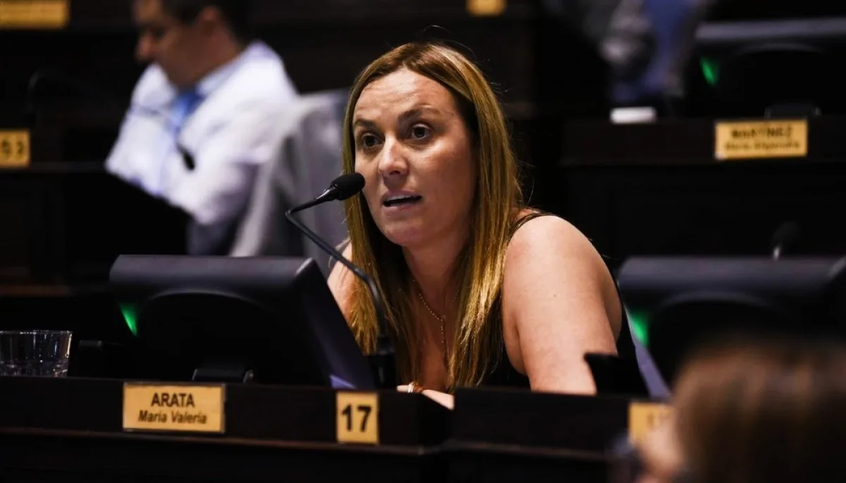Una referente massista pidió que el peronismo proponga soluciones concretas: 'No alcanza con frenar a Milei' - Cronos Noticias