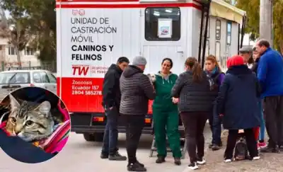 ¿Sabés dónde estará el quirófano móvil de Trelew la próxima semana?
