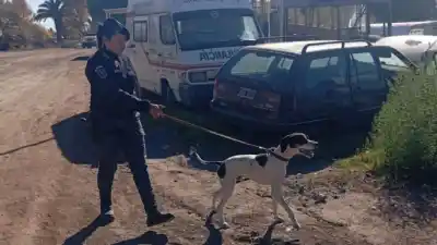 El olfato de un perro policía que dejó helados a los ladrones en San Rafael