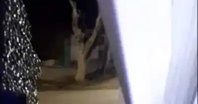 Viajaba en colectivo, un piedrazo destrozó el vidrio y se salvó de milagro: la cortina le evitó una tragedia