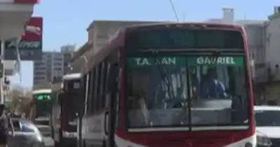 Seis meses de prórroga: el Concejo de Bahía Blanca extendió las concesiones del transporte