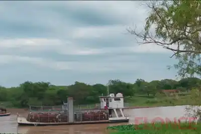 El río Paraná avanza sin pausa y en Las Cuevas ya activan el protocolo de emergencia