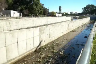 El secreto detrás de los filtros biológicos que transformarán el arroyo Las Viejas