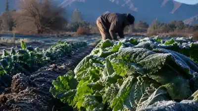El frío reconfiguró el precio de frutas y verduras: el NOA, protagonista en el abastecimiento