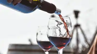 El renacer del vino entrerriano: las bodegas que desafían la historia y apuestan al enoturismo