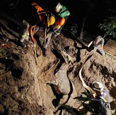 Bomberos de Monteros rescatan a un caballo de un pozo ciego (VIDEO)