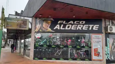 Rompió la vidriera a piedrazos y se llevó una bicicleta: lo que buscan los investigadores