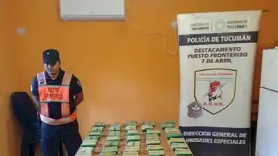 Incautan un kilo de marihuana y 20 kilos de hojas de coca en control de encomiendas