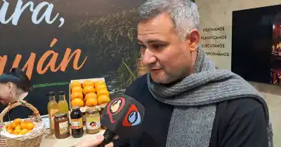 El sabor de Chumbicha que conquista el Poncho: mandarinas, licores y un secreto productivo