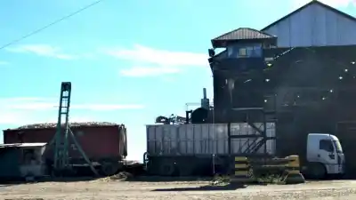 Tucumán supera estimación oficial y establece récord histórico en molienda de caña