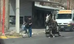 Un caballo escapó a toda velocidad arrastrando un carro sin ruedas en Chimbas y el video se volvió viral
