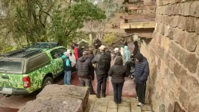 Allanaron dos departamentos y lo que hallaron adentro era un criadero ilegal de aves