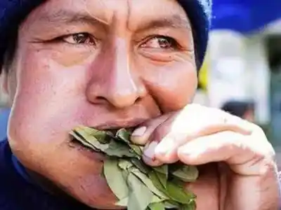 Una muerte en Orán reaviva la alerta: ¿cómo evitar ahogarse con hojas de coca?