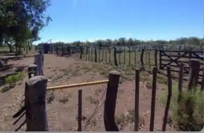 Reventaron el portón de un galpón en Las Chacritas y se llevaron un insólito botín