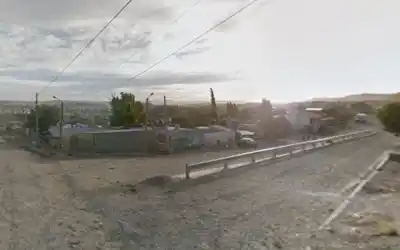 Vecina rescató a un perro destrozado por dogos en el barrio San Martín y ahora pide ayuda