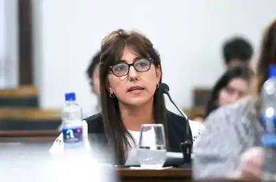 El voto que desató la tormenta: otra senadora del PJ denuncia amenazas y la Justicia allana a una militante