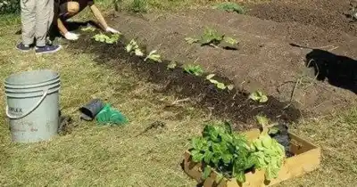 Escapadas invernales: taller de huerta, cine, títeres, feria y una pedaleada patria para no perderse