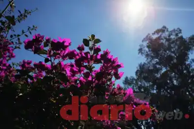 Aniversario de la ciudad con "calorcito": la temperatura que sorprende este sábado en Santiago