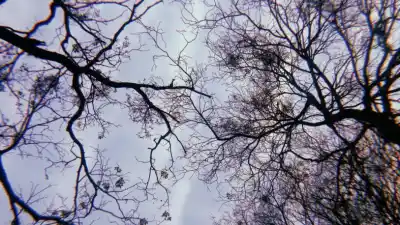 Cielo nublado y clima templado: así arranca el fin de semana en Posadas con alerta de lluvias