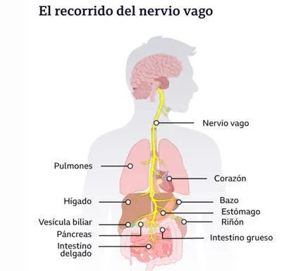 https://images.openai.com/static-rsc-4/0pX04rG3wpjuCKFYTSc6Z4XuA7VnxbXlCGPsj2gifANW9v2cILs98jdSPskVo-iGso0ovnbEeaIzmCdCV83b4dAJqfotfYLkV1xMXW_6f6HR1jfUJSrOk0_wd7c66_ta5PUIWlWbeQpHYWjiMY_A1I_6Iqf0WNndUb-0xL2sUBUNUiXwVJesA8bCZ-jXjaPJ?purpose=fullsize