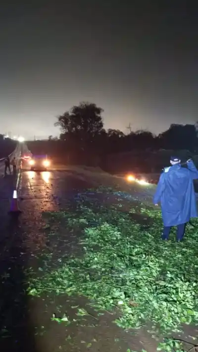 Chocaron contra una carga de yerba en la ruta y terminaron despistando: hay cuatro heridos