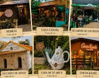 ¿Un paseo entre sabores? Merlo lanza un circuito de casas de té para estas vacaciones