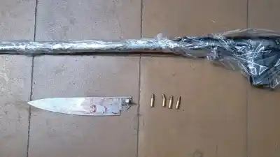 Entró a su casa y la encontró ensangrentada: el escalofriante ataque que terminó con un detenido en Los Troncos