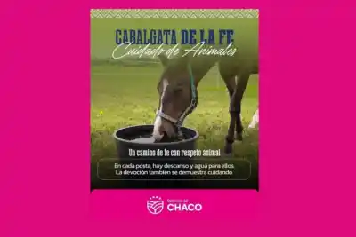 Cabalgata de la Fe 2026: el plan con el que el Gobierno chaqueño busca proteger a cada caballo durante la peregrinación