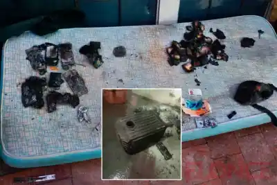 Tenía una salamandra y no era para calefaccionar: el insólito hallazgo en un búnker narco de Paraná