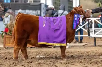 El secreto detrás del subcampeonato de un cabañero de Viedma en la Rural de Palermo