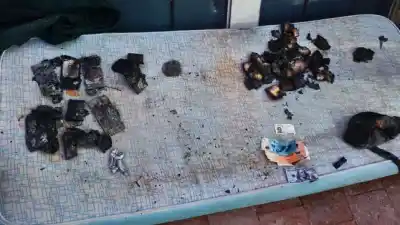 Allanaron un bunker de drogas en Paraná: la salamandra que usaban para borrar pruebas