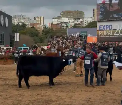 El insólito giro genético que tiene a la pampa húmeda mirando a Río Negro