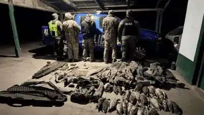 Cazaban patos con turistas franceses y terminaron detenidos cerca del Chaco