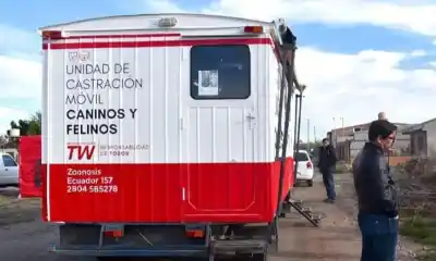 Llega el quirófano móvil a los barrios: fechas, costos y todo lo que tenés que saber