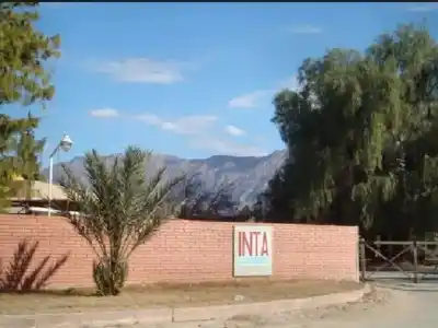El misterio de las tierras del INTA que no están en uso pero sí se utilizan