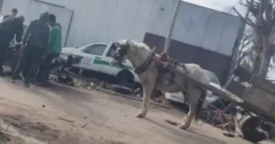 Preocupación en La Plata: denuncian que un carro descarga autopartes en un terreno baldío