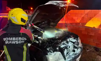 Regresó de pescar y el humo del motor casi lo deja sin camioneta: el insólito motivo