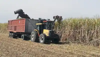 Zafra 2025 culmina sin episodios graves de contaminación en cursos de agua