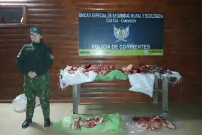 Sorprendieron a dos personas transportando más de 100 kilos de carne sin control sanitario