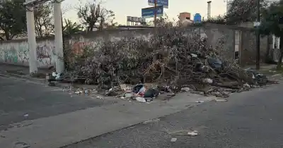 Basura acumulada en Damico y Cris: vecinos exigen soluciones