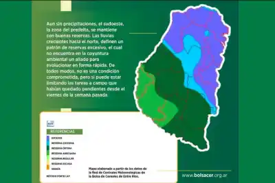 El Niño ya se siente en Entre Ríos: el norte provincial se empapa y preocupa a los productores
