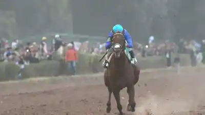 El caballo sanjuanino que dejó sin aliento a 10.000 personas en Mendoza