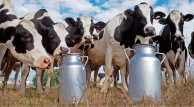 El mundo necesita más leche y Argentina tiene la llave para abastecerlo